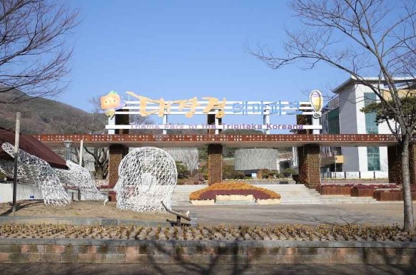 [경남 여행지 추천] 합천 가볼만한 곳 베스트 10 대장경테마파크