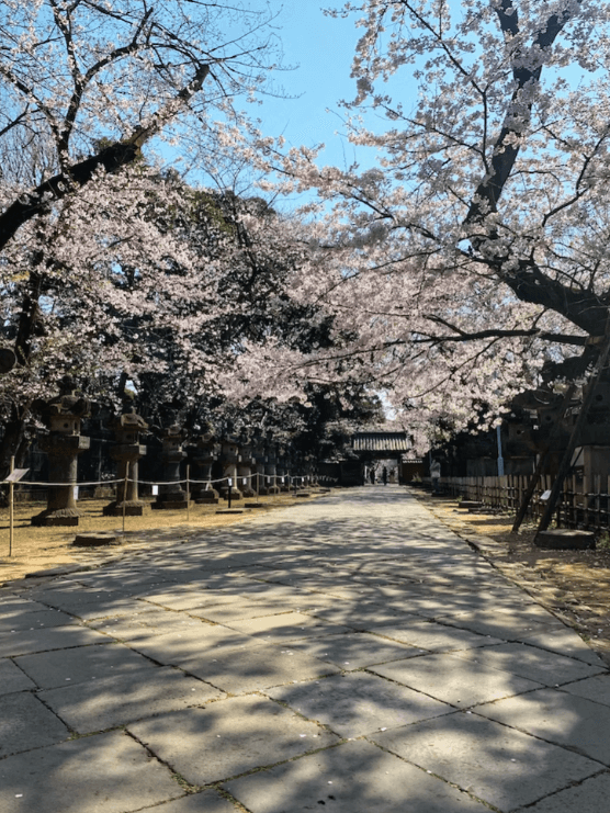 여름휴가 해외여행지 추천