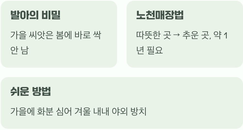 씨앗의 아주 긴 잠, 첫 번째 관문