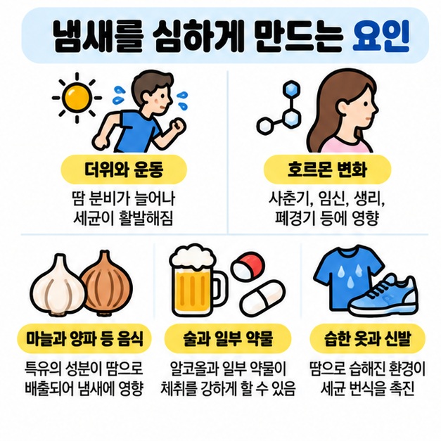 더위와 운동, 호르몬 변화, 음식, 술과 일부 약물, 습한 옷과 신발이 땀 냄새를 심하게 만들 수 있음을 정리한 카드