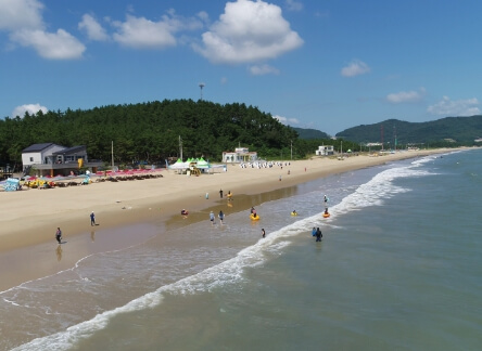 서해, 남해 해수욕장 개장일, 폐장일