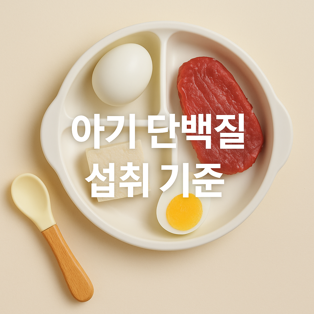 고기&middot;콩&middot;계란 언제부터 아기 단백질 섭취법 총정리🥩