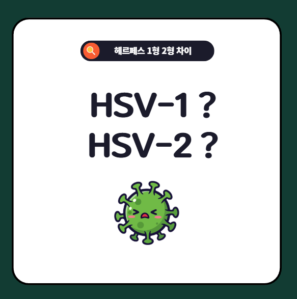 HSV-1, HSV-2 차이점