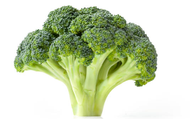 브로콜리