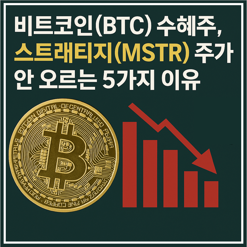 비트코인 수혜주 스트래티지 주가 안오르는 5가지 이유 이미지