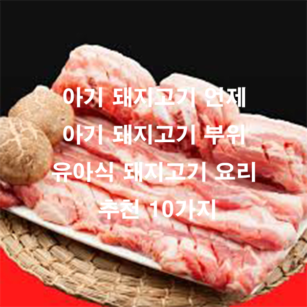 아기 돼지고기 언제 아기 돼지고기 부위 유아식 돼지고기 요리 추천 10가지