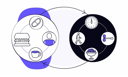 고혈압 치료과정