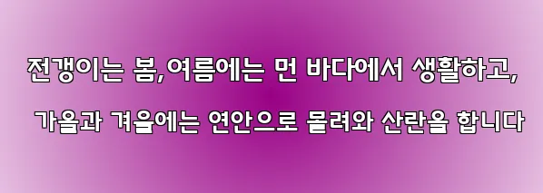  전갱이는 봄,여름에는 먼 바다에서 생활하고, 가을과 겨울에는 연안으로 몰려와 산란을 합니다