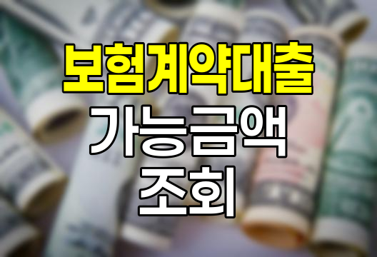 한화손해보험 보험계약대출 가능금액 조회 문제해결