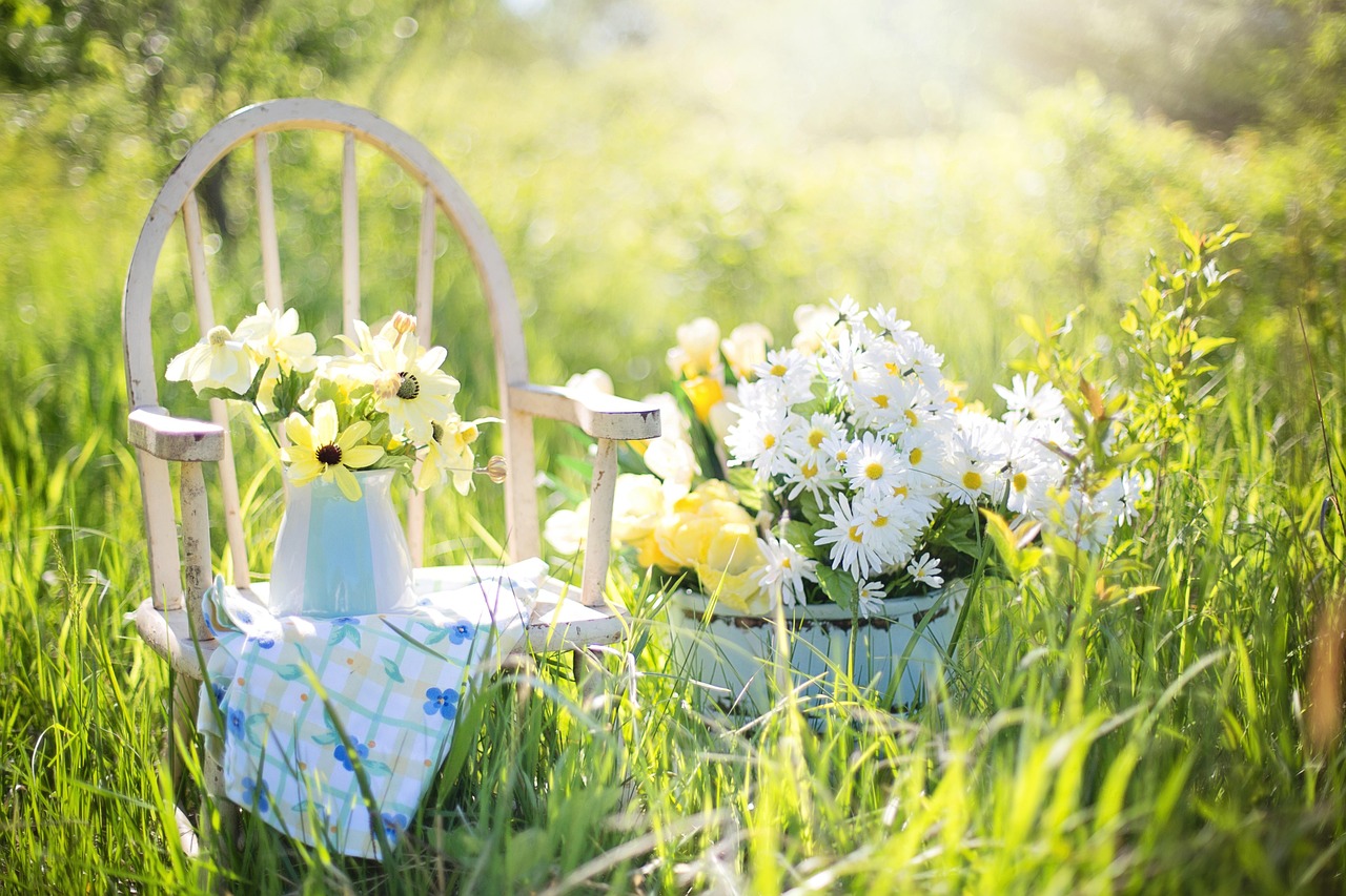 2025년 6월, 놓치면 후회할 국내 여행 추천 BEST!