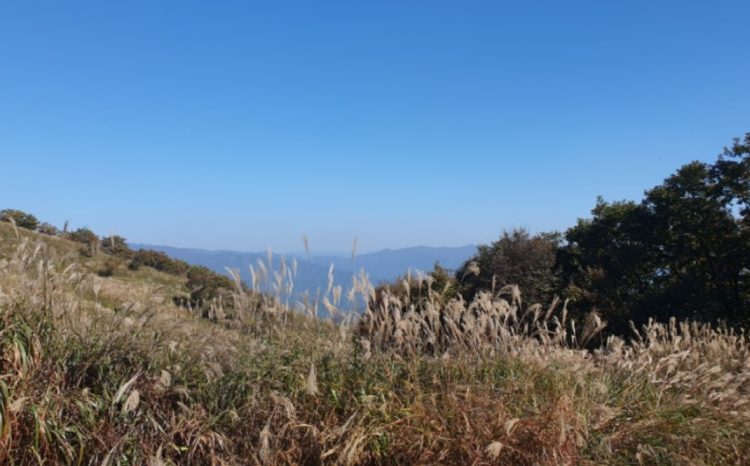 명성산 등산코스