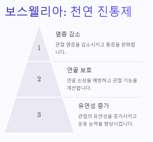무릎 관절 건강
