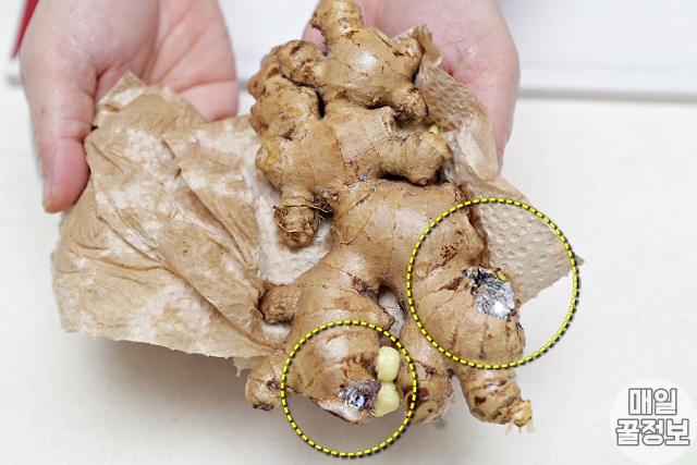 썩은 생강 구별법, 상한 생강 구별법, 김치 간암 원인, 건강 팁줌 매일꿀정보