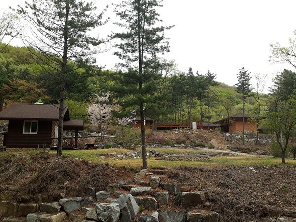 포천 천보산 자연휴양림 완벽 가이드 – 위치, 예약, 산책코스 총정리