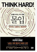 몰입 책