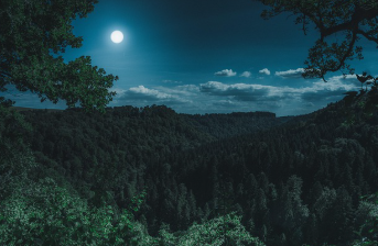 청와대 국민청원홈페이지 지금 확인 24