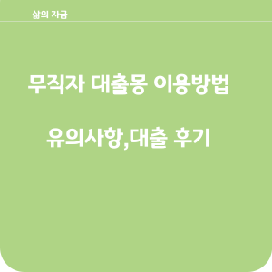 무직자 대출몽 이용 방법과 대출 후기