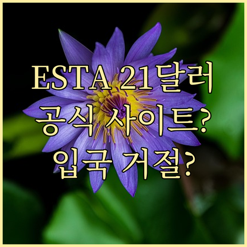 ESTA 21달러! 공식 사이트 아니..