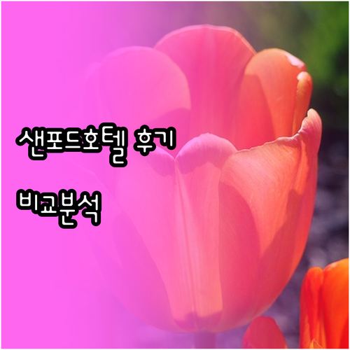 샌포드 호텔 숙박 후기 총정리 비교분