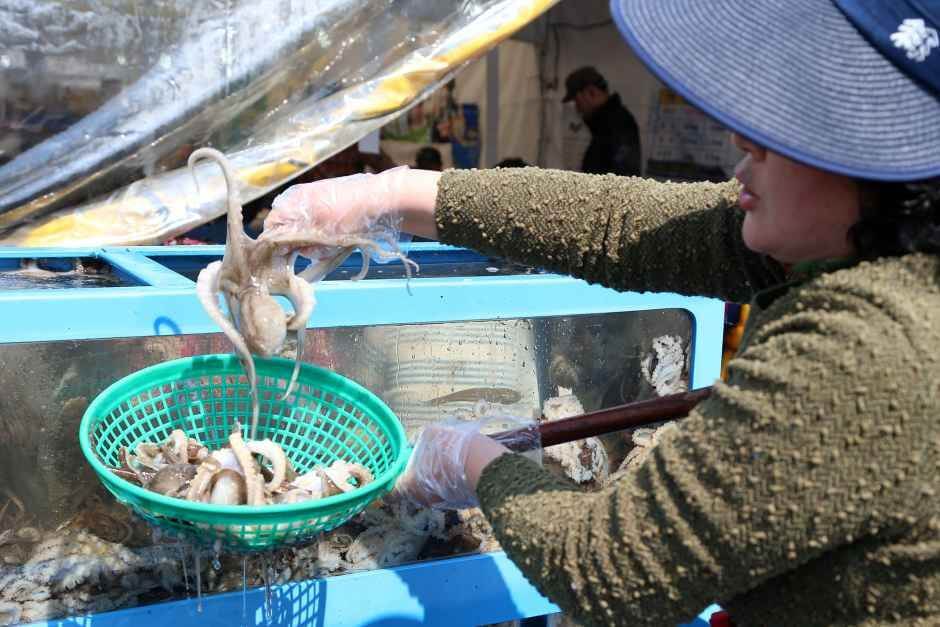 서천 동백꽃 주꾸미축제