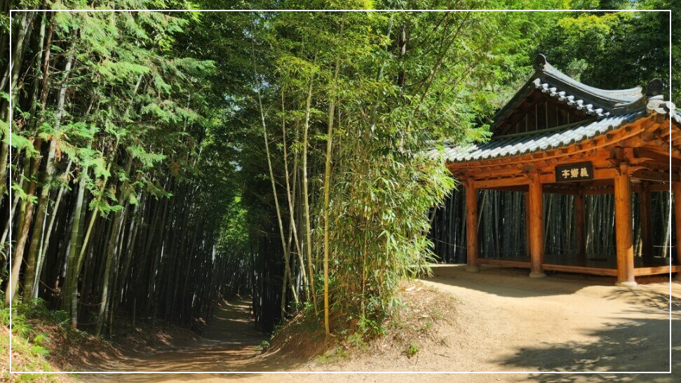 담양 가볼만한곳 베스트10 죽녹원