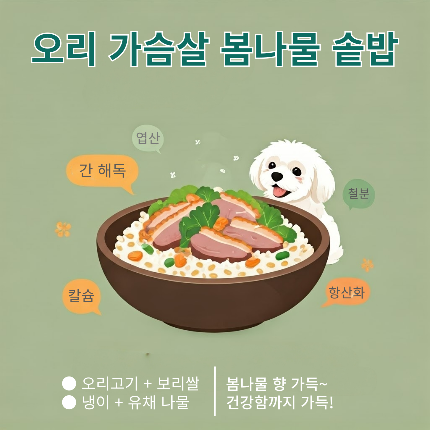 오리 가슴살 봄나물 솥밥