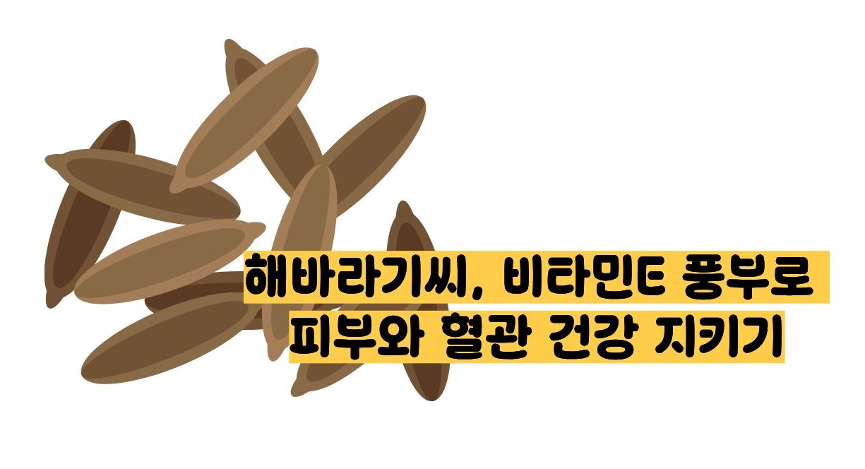 해바라기 씨 효능