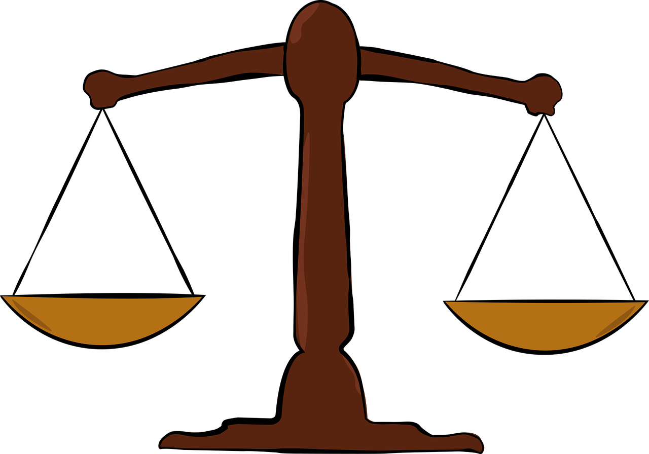 건강도 챙기자! 자취생을 위한 영양 가득 요리