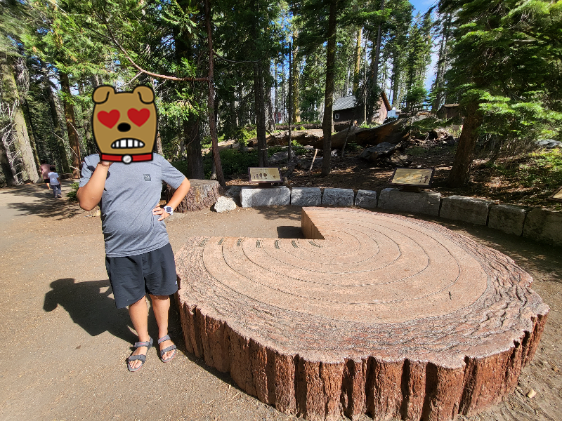 요세미티 국립공원 후기