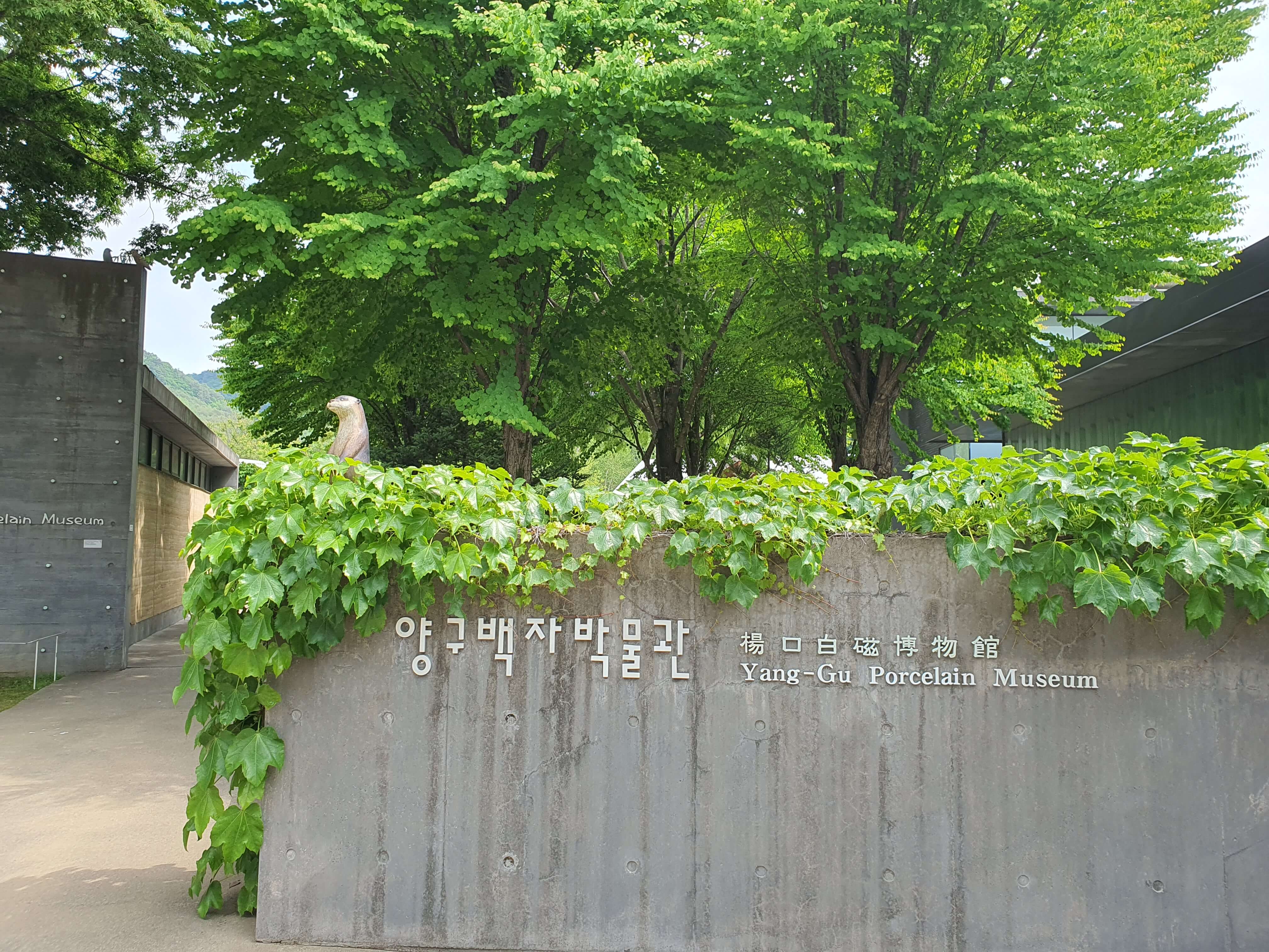 강원도 아이랑 가볼만한 곳