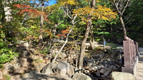 설악산_단풍여행_총정리