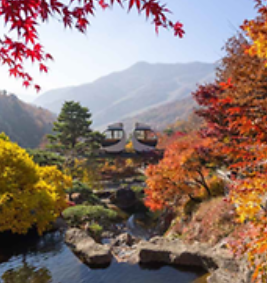 화담숲 가을 단풍 축제