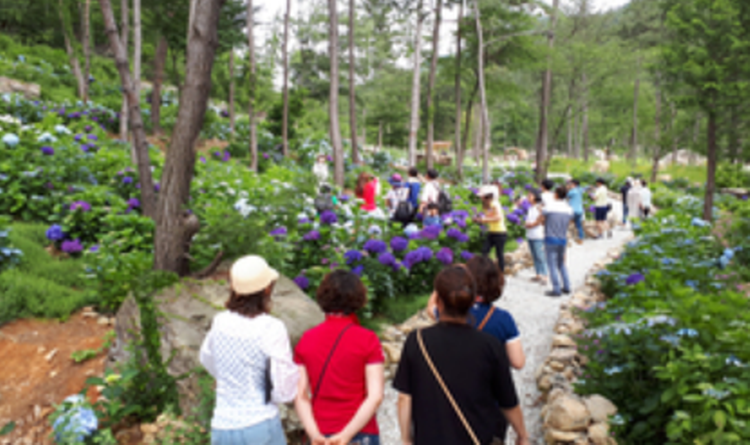 해남 포레스트 수목원