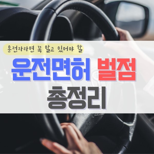 운전면허 정지 벌점