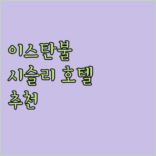 이스탄불 여행객 필독 시슬리 지역 호..