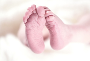 출산장려금 신청