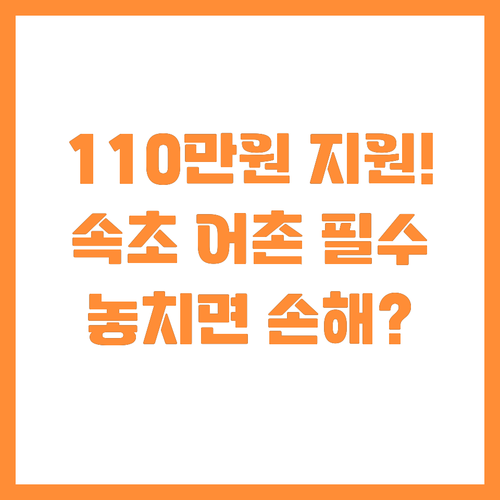 어촌 독립경영 예정자 주목! 속초시 ..