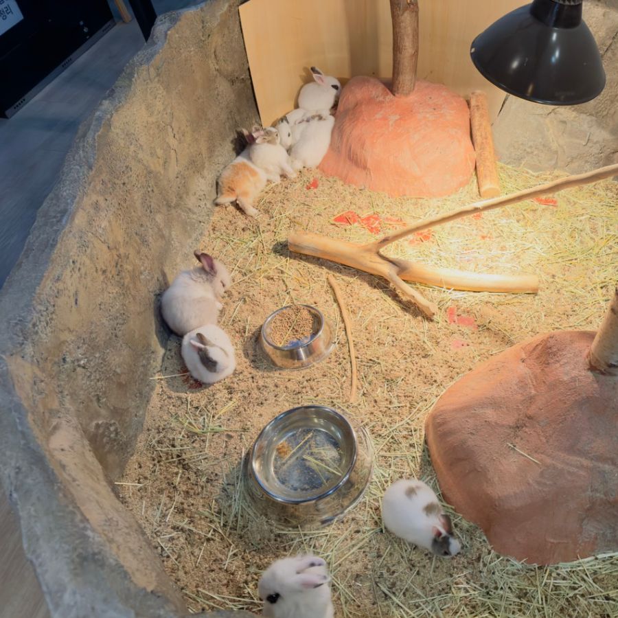 캐니언파크 울산점 