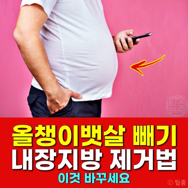 올챙이뱃살 빼는법 올챙이배 빼기 내장지방