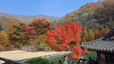 단풍명소_화담숲_식당