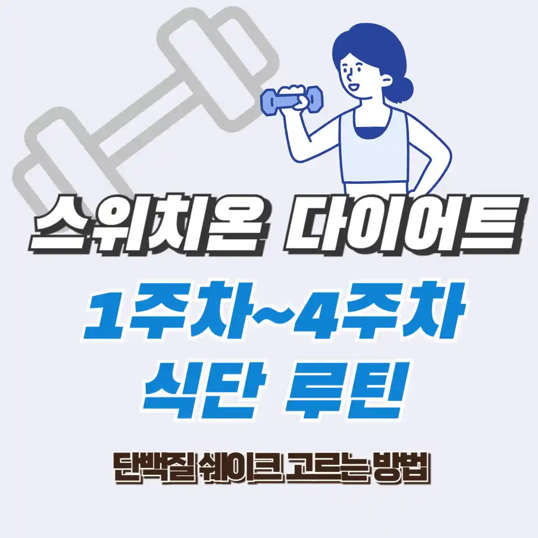 스위치온다이어트식단