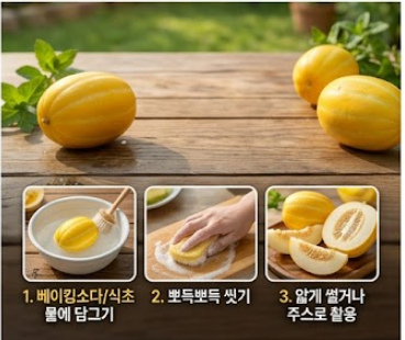 참외 효능