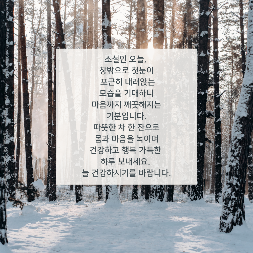 소설 인사말 이미지 겨울 인사글 문구 모음