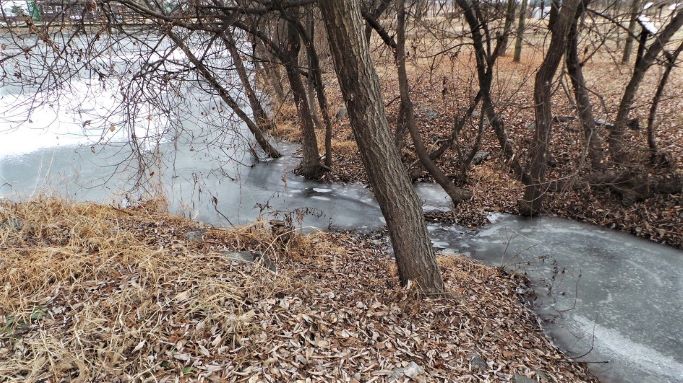 네 장의 작은 사진엔 얼어 있는 물가 풍경