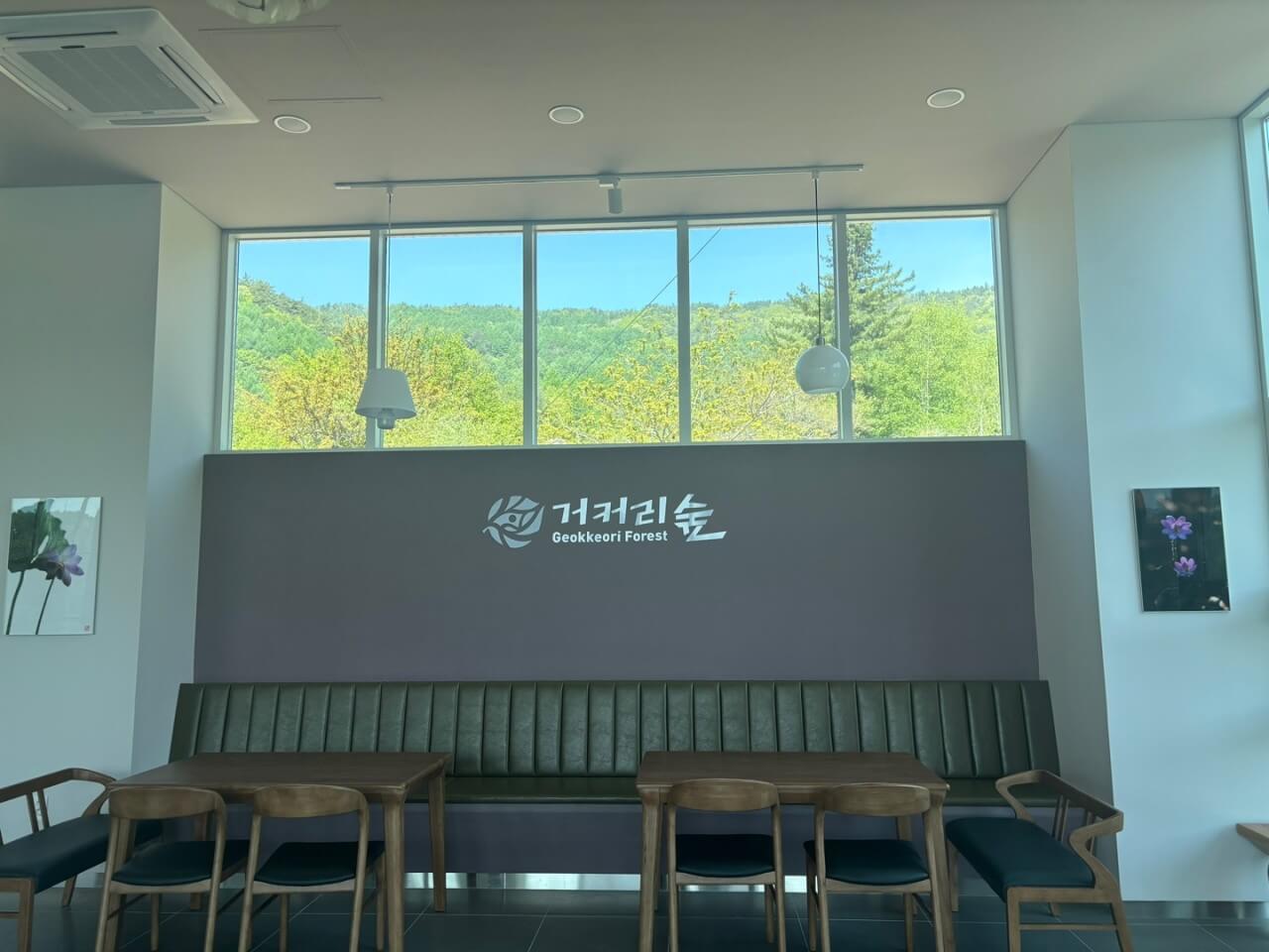 6시내고향 강원 평창 산나물 빵 감성 베이글 카페 거커리숲