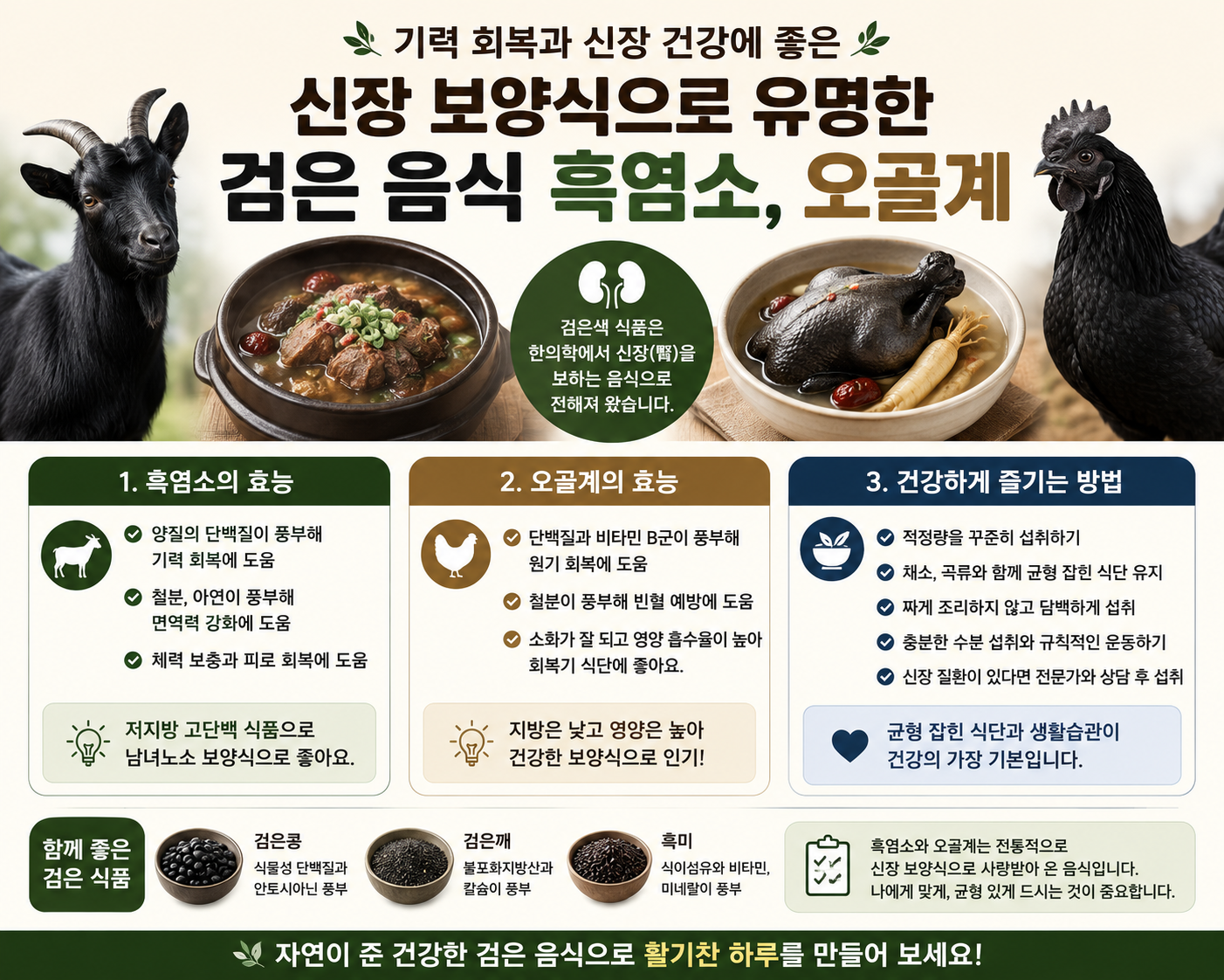 신장보양식으로 유명한 검은음식 흑염소, 오골계