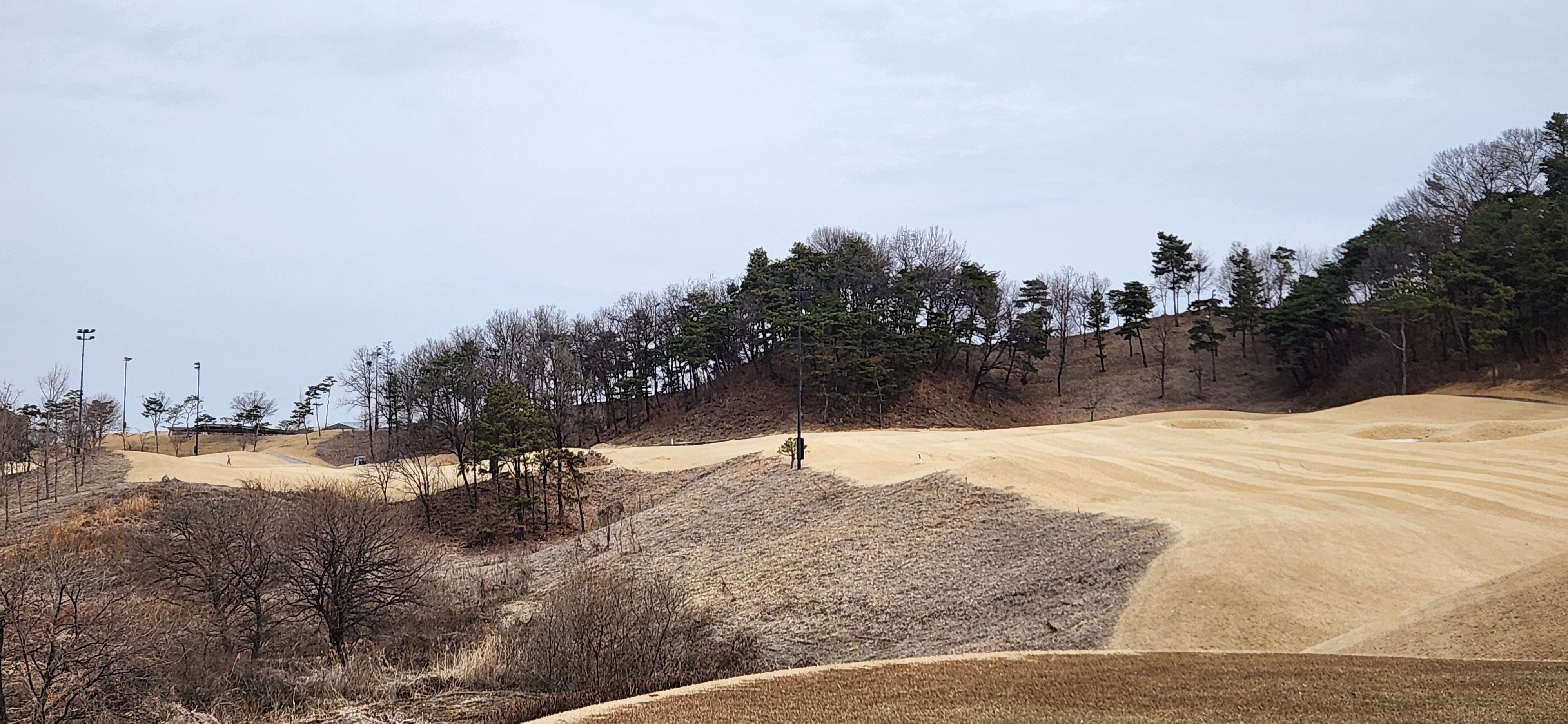 젠스필드