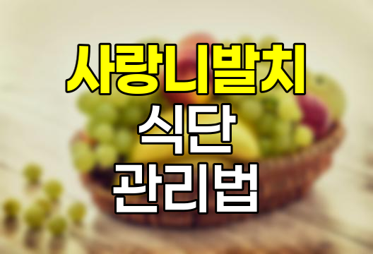 사랑니 발치 후 식단과 관리법