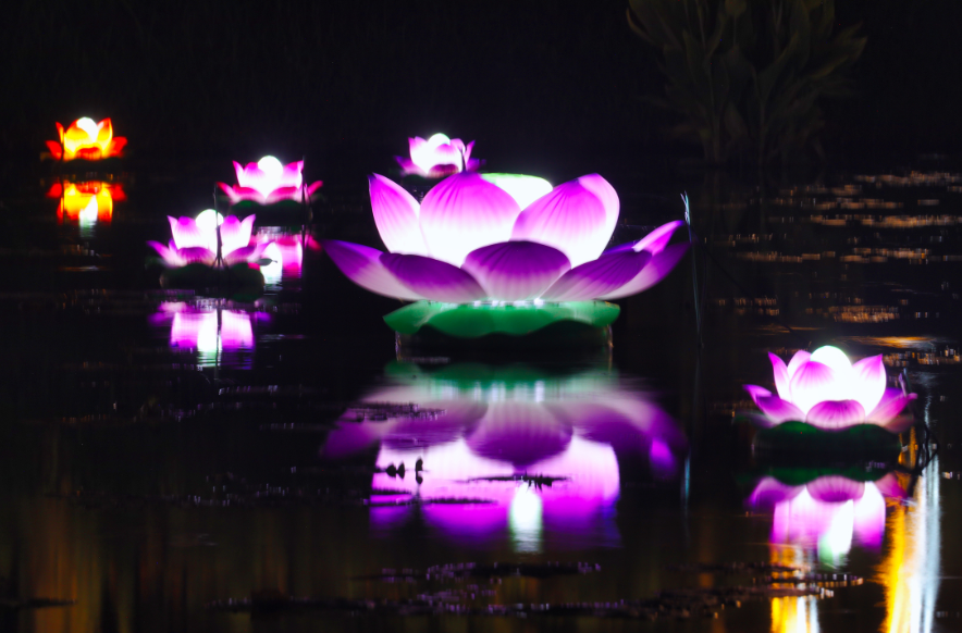 부여서동연꽃축제