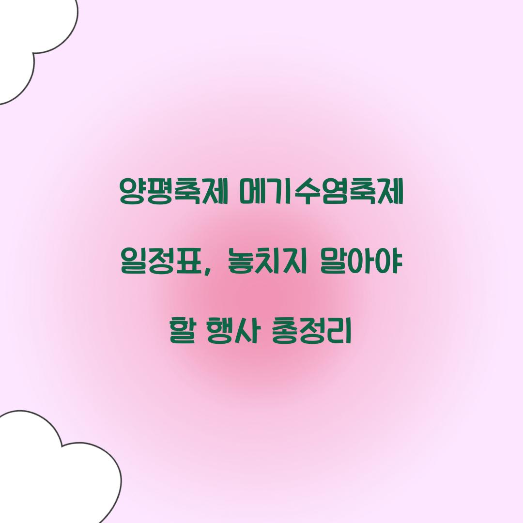 양평축제 메기수염축제 일정표